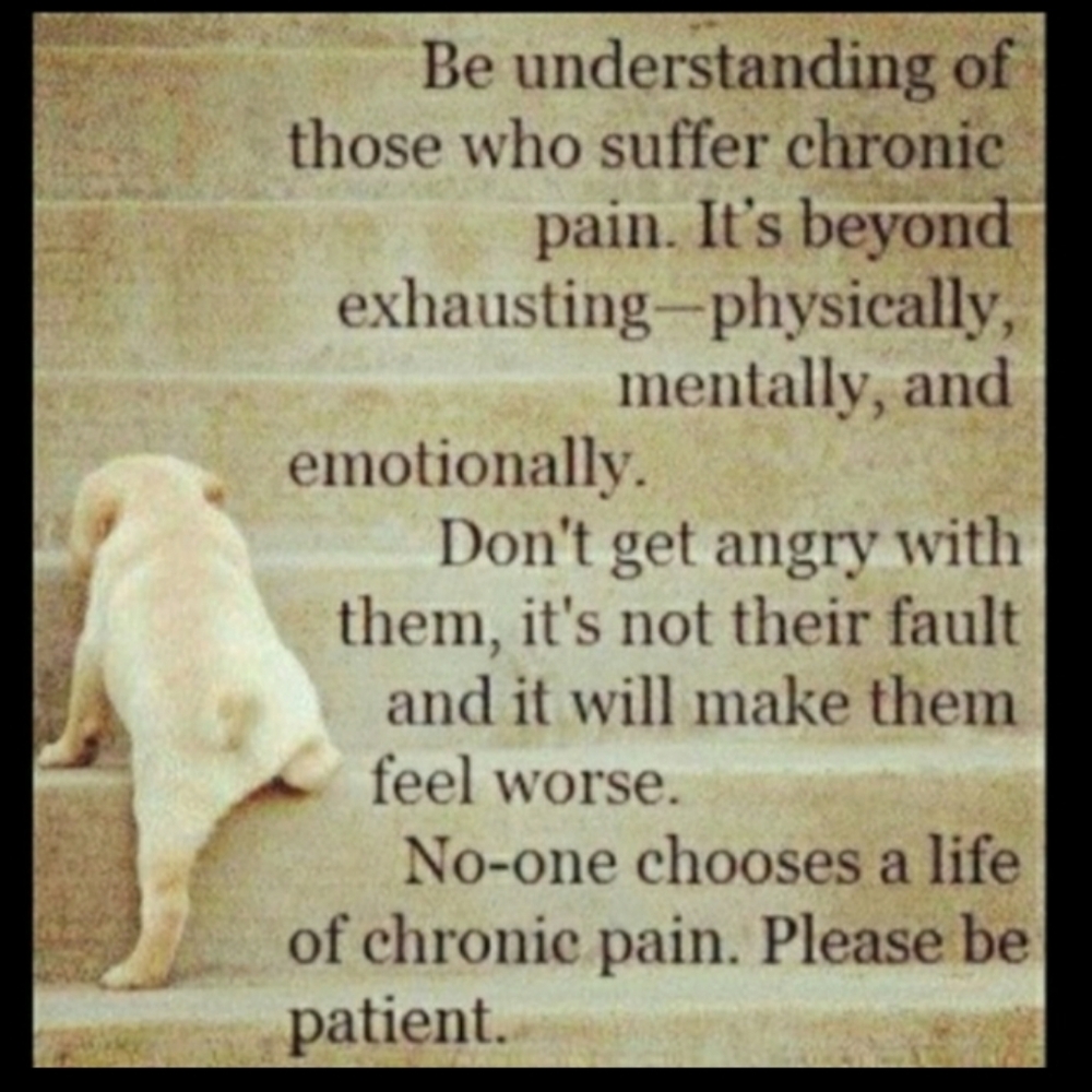 Talbots Canary YELLOW Capris NWOT     Sz 4 Petite - Picture 4 of 15